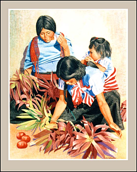 Las
                Generationes
