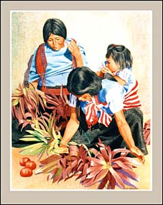 Las Generationes