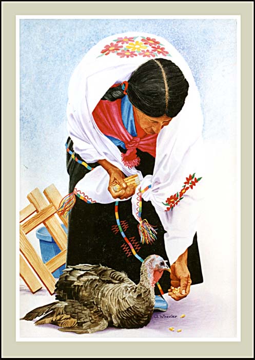 Vendedora
                de los Pavos