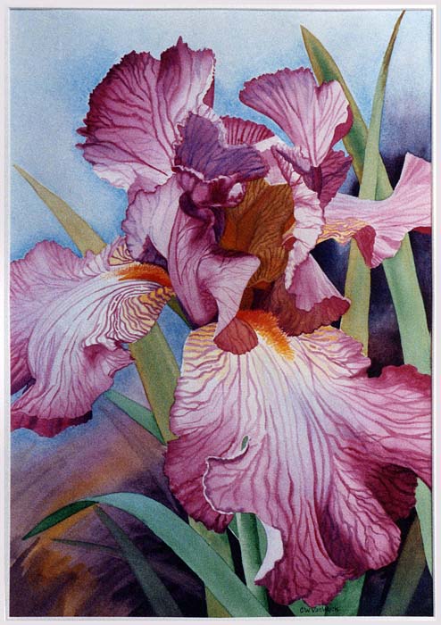 fl_irises_6.jpg