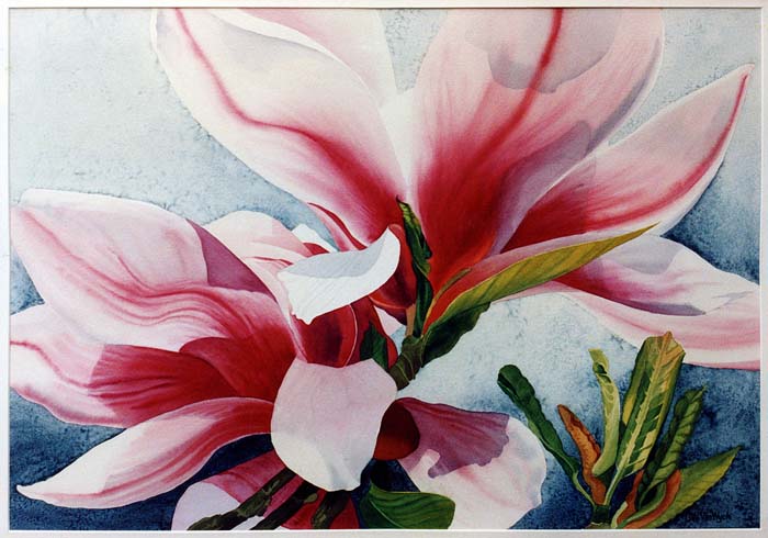 fl_magnolia_1.jpg