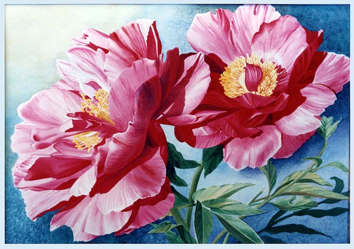 fl_peonies_1.jpg
