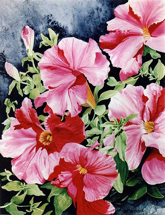 fl_petunias_2.jpg