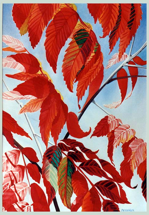 fl_sumac.jpg